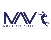 logo volley